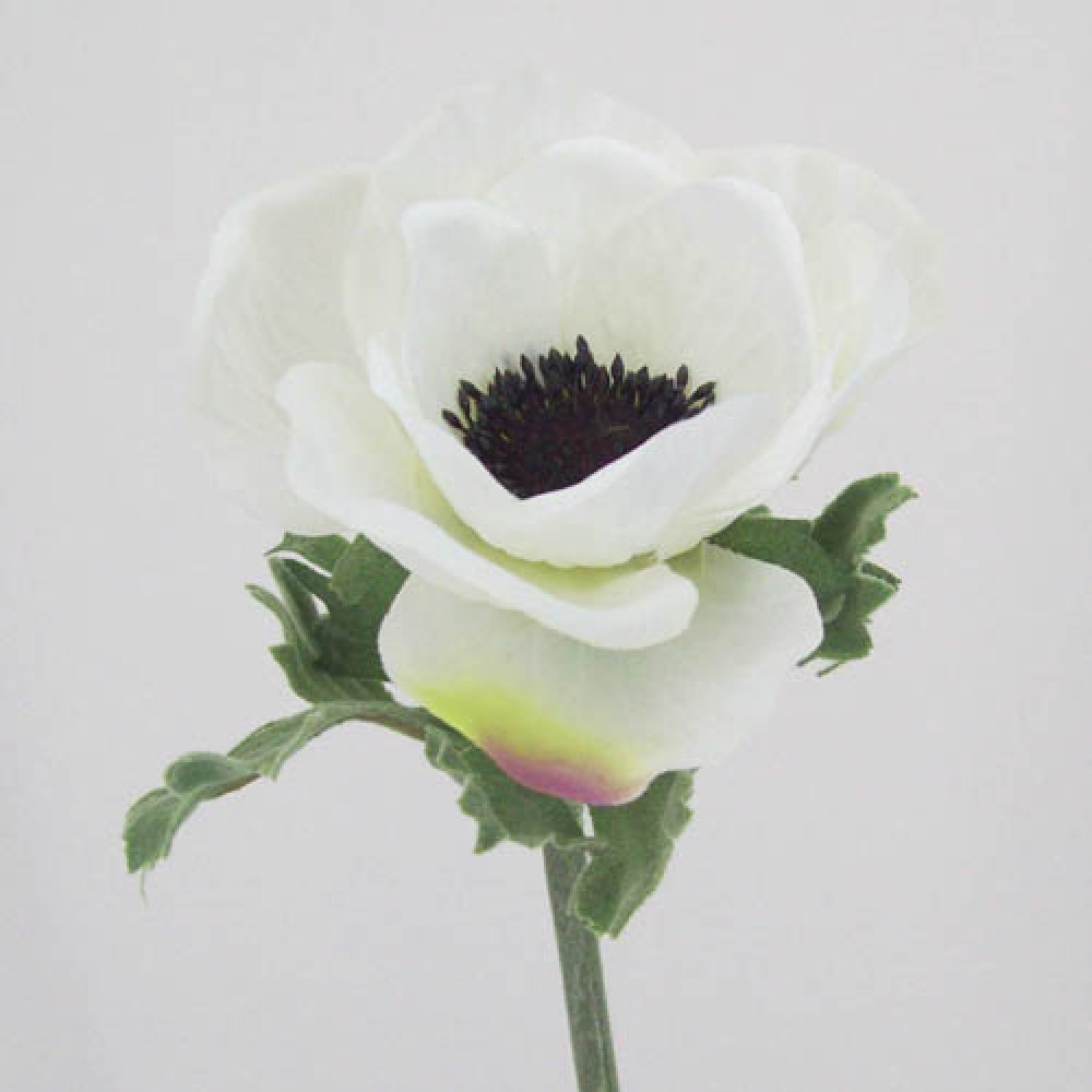 Silk Anemone Ivory 38cm Artificial Flowers
